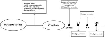 Resistance Index of the Superior Mesenteric Artery: Correlation With Lactate Concentration and Kinetics Prediction After Cardiac Surgery